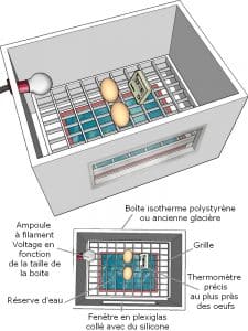 plan d'une couveuse artificielle à faire soi-même