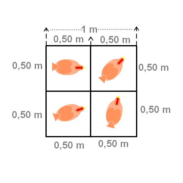 https://poulailler-bio.fr/wp-content/uploads/2021/08/densite-poules.png