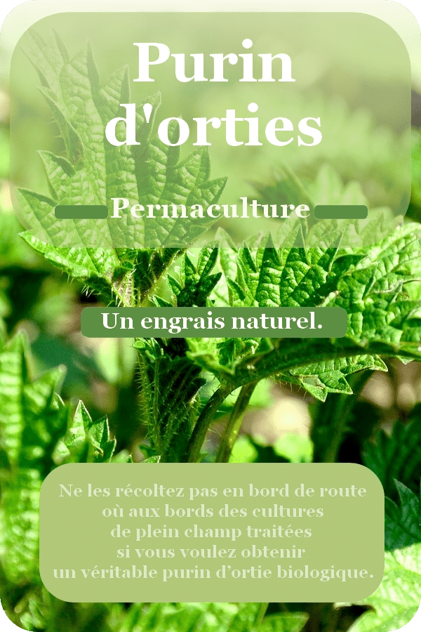 Comment faire du purin d'ortie ? sa recette, son utilisation — free download