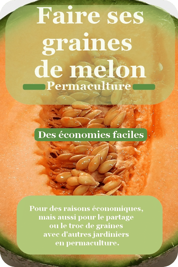 Comment faire ses graines de melons en permaculture — free download